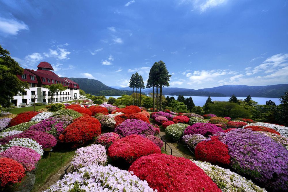 האקונה Odakyu Hotel De Yama מראה חיצוני תמונה
